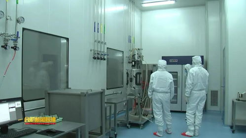 安科生物 以研發為翼，驅動創新未來的安徽生物科技領軍者