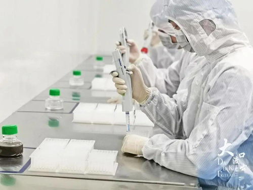 大渡口區生物科技領域博士后科研工作站概覽